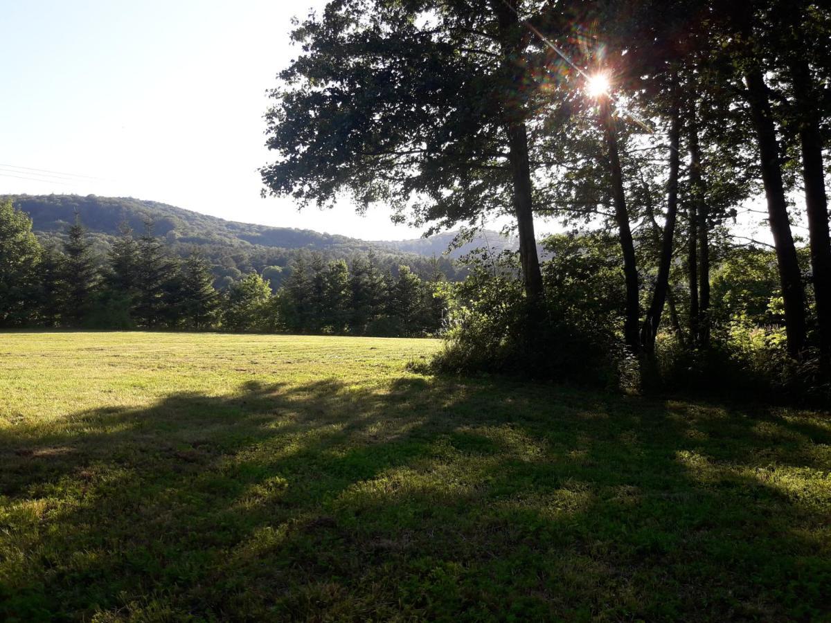 Apartament 59 , Ranczoturystyka Bielawa Sudety Exteriér fotografie